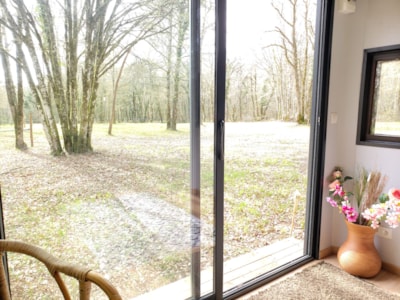 Room in the forest