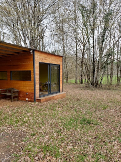 Room in the forest
