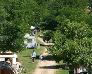  - Pitch Confort + car + tent or caravan + electricity - Flower Camping Mas de Champel