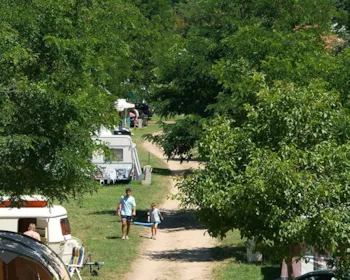 Stellplatz - Stellplatz Confort + Auto + Zelt Oder Wohnwagen + Strom - Flower Camping Mas de Champel