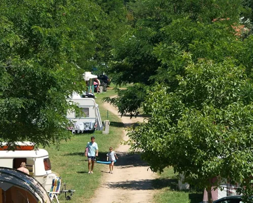 Pitch - Pitch Confort + Car + Tent Or Caravan + Electricity - image n°1 - Flower Camping Mas de Champel