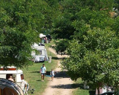 Pitch Confort + car + tent or caravan + electricity