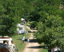 Kampeerplaats(en) - Standplaats Confort + Voertuig + Tent Of Caravan + Elektriciteit - Flower Camping Mas de Champel