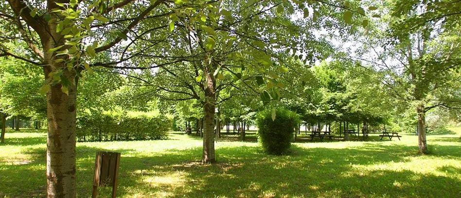 Club del Sole Bologna Easy Camping Village 