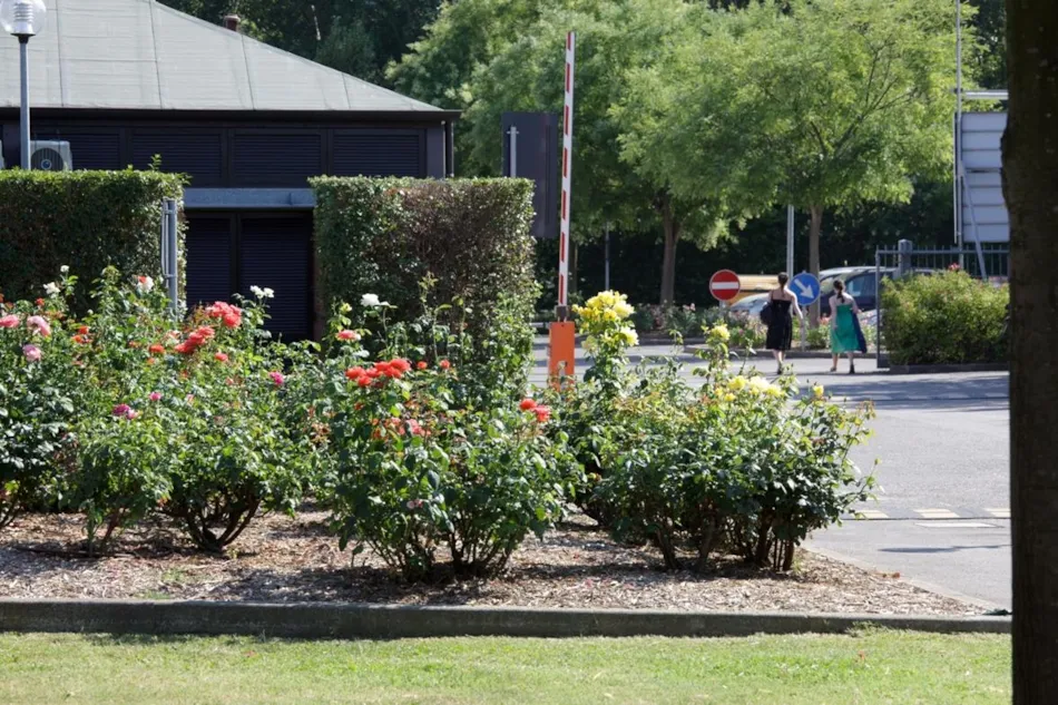 Club del Sole Bologna Easy Camping Village 