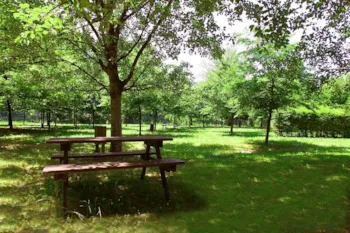 Club del Sole Bologna Easy Camping Village  - Ucamping