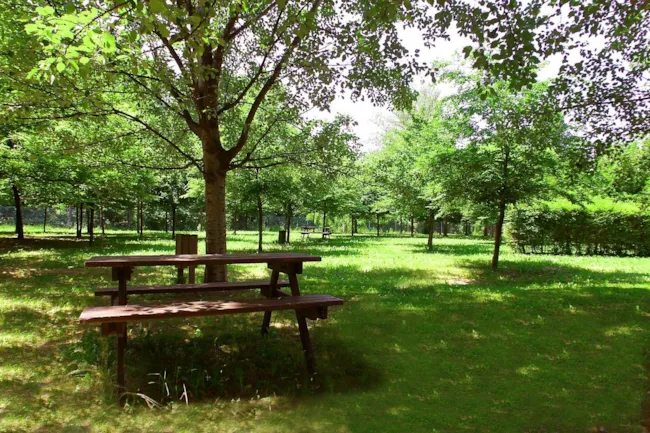 Club del Sole Bologna Easy Camping Village  - image n°1 - Camping Direct