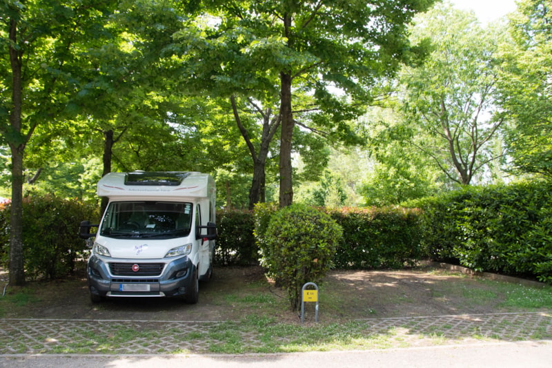 Standplaats waar huisdieren zijn toegestaan