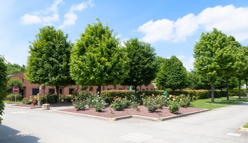 Bungalow Comfort huisdieren toegestaan
