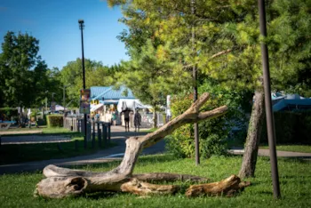 Camping Les Bords de Loue - image n°3 - Camping Direct