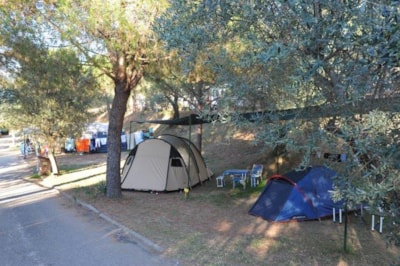 Pitch for standard tent — 7
