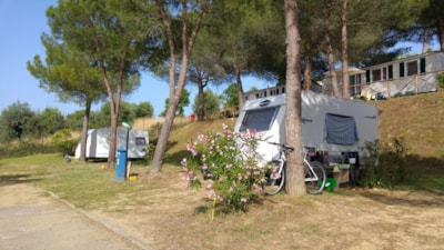 Pitch for caravan — 9