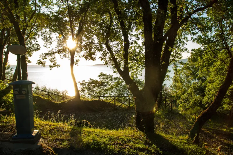 Emplacement Pour Standard Tente