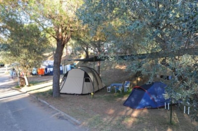 Pitch for big tent and/or with lake view — 9