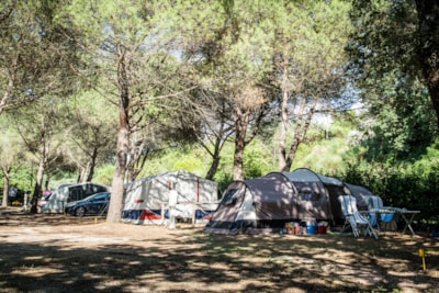 Pitch for big tent and/or with lake view — 10