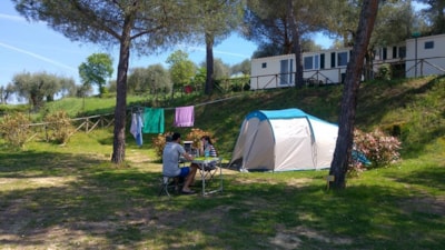 Pitch for big tent and/or with lake view — 6