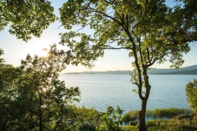 Pitch for big tent and/or with lake view — 2