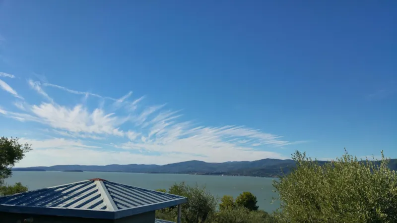 Bungalow T Avec Veranda