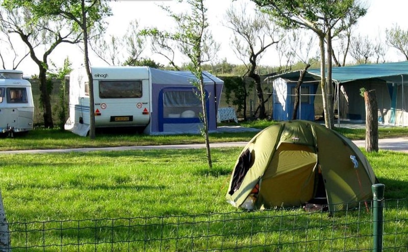 lustige camper sprche Camper Tasse Camping Kaffeetasse lustig Wohnwagen Humor Wohnmobil park   Pagma Druck