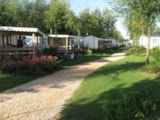 Foto #2 van Miramare Camping Village