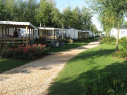 Miramare Camping Village - image n°2 - Roulottes