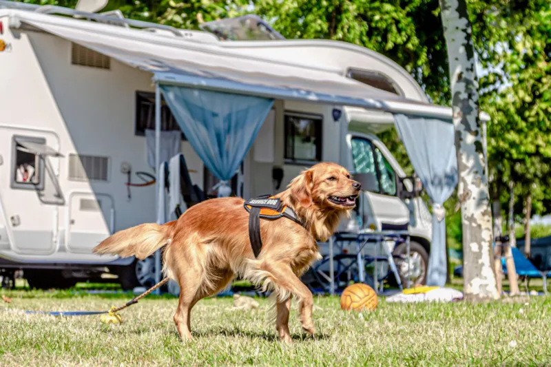 Emplacement Standard