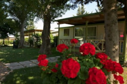 Village Camping il Fontino - image n°8 - Roulottes