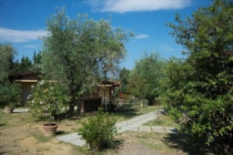 Village Camping il Fontino - image n°9 - Roulottes