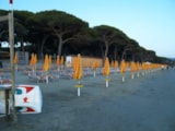 Foto #13 van Village Camping il Fontino