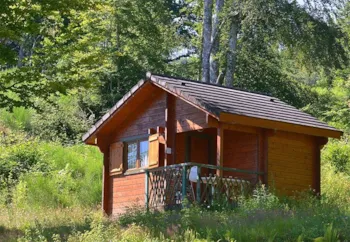 Accommodation - Small Chalet 19M² - Camping Onlycamp Les Aubazines