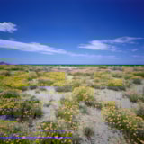 Foto #14 van Campeggio Europa