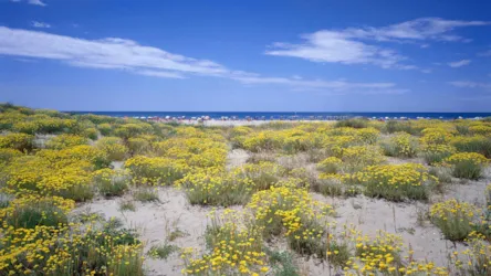 Campeggio Europa - image n°2 - Camping Direct