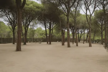 Stellplatz - Pauschale Plus (Keine Zelte Erlaubt) - Wecamp L'Escala Punta Mila