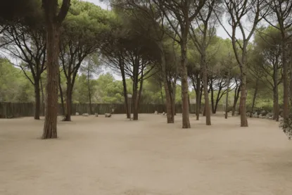 Plus Pitch ( Tents Not Allowed)