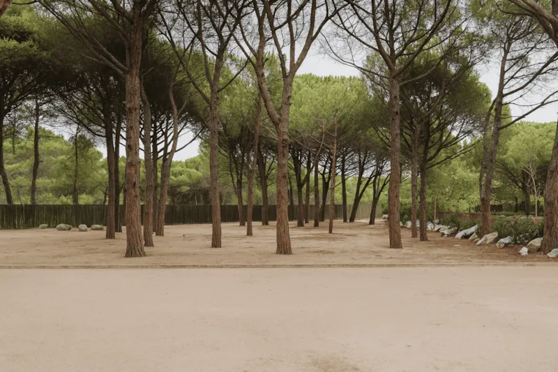 Forfait Plus (Aucune Tente Autorisée)