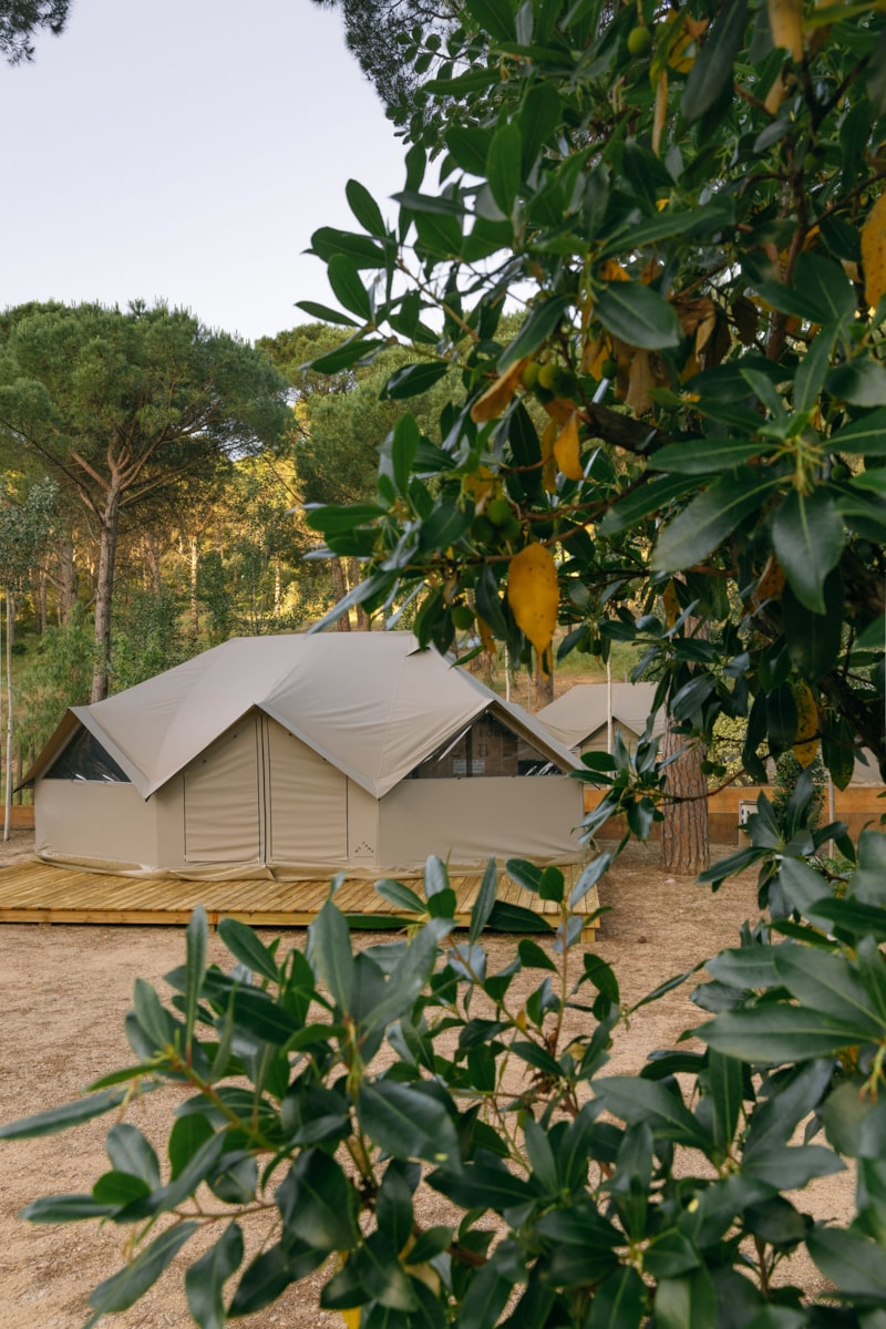 BELL TENT FAMILY