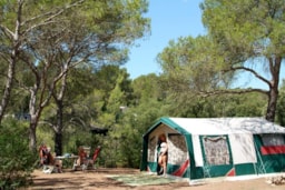 Pitch - Pitch Caravan Confort + Electricity 10A + Water Point + Wastewater Connection - CAMPING LA PIERRE VERTE