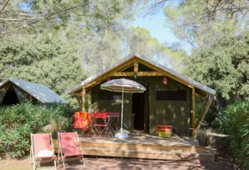 Mietunterkunft - Hütte Quatro 18M² - Außergewöhnliche Unterkunft - CAMPING LA PIERRE VERTE