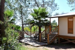 Accommodation - Lodge 32M² - Lodge Range - CAMPING LA PIERRE VERTE