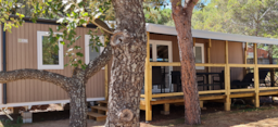 Accommodation - Mobile-Home Cottage 8 - 39M²  - Azur Range - CAMPING LA PIERRE VERTE