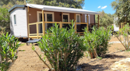 Accommodation - Mobile-Home Cottage 6 - 31M²  - Azur Range - CAMPING LA PIERRE VERTE