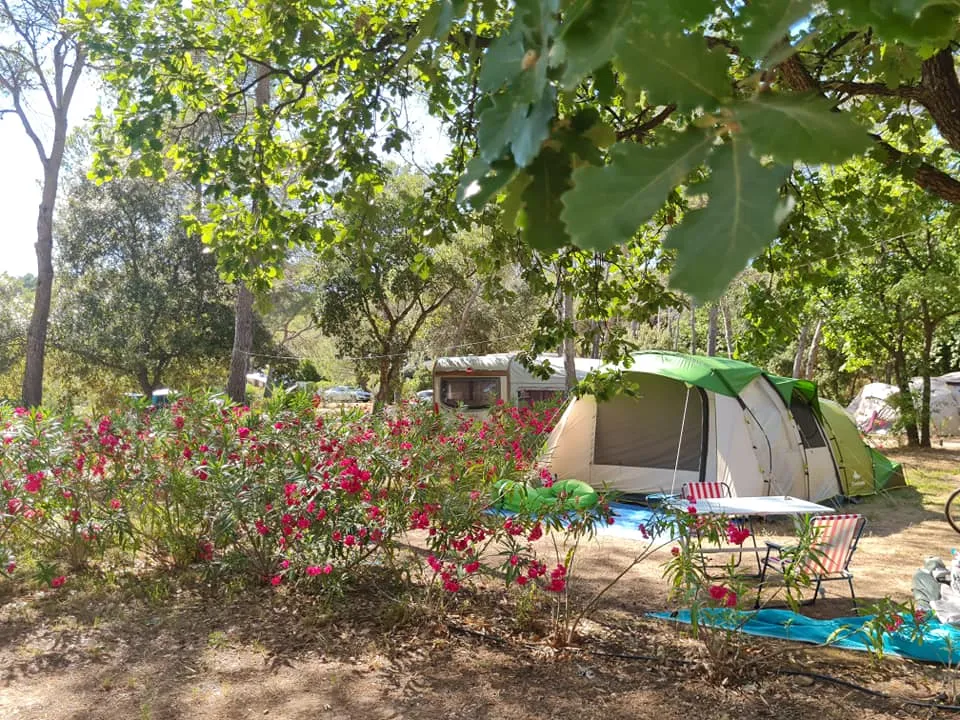 Emplacement - Emplacement  Tente Classique Avec Électricité 6A - CAMPING LA PIERRE VERTE