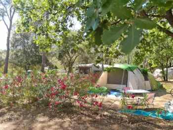 Stellplatz - Stellplatz Zelt Classique Mit Strom 6A - CAMPING LA PIERRE VERTE