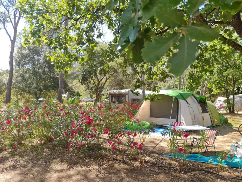 Emplacement  Tente Classique Avec Électricité 6A