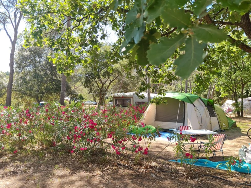 Kampeerplaats TENT CLASSIQUE met elektriciteit 6A