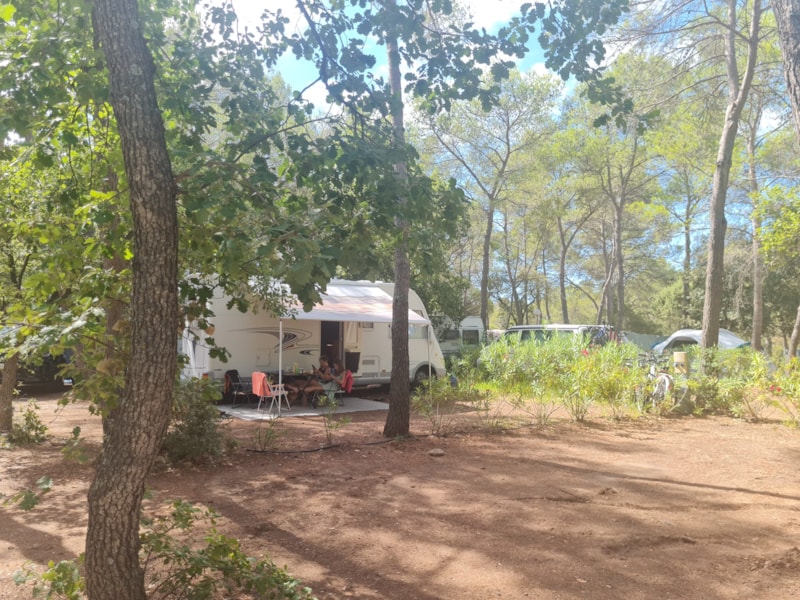 Standplaats CARAVAN CONFORT + elektriciteit 10A + wateraansluiting + afvalwateraansluiting