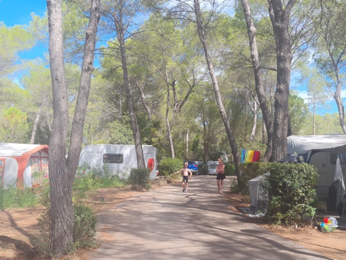 Emplacement Caravane Confort  Avec Électricité 10A, Eau Et Évacuation Des Eaux Usées