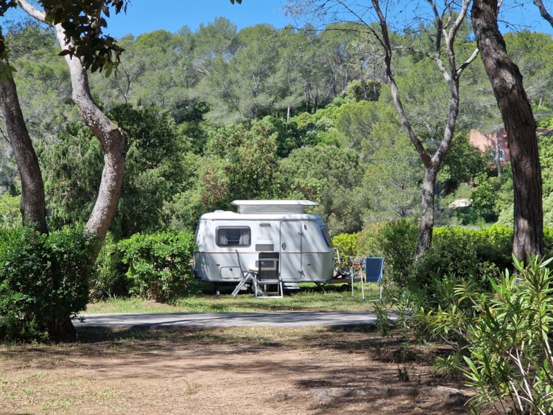 Kampeerplaats CARAVAN CLASSIQUE met elektriciteit 6A