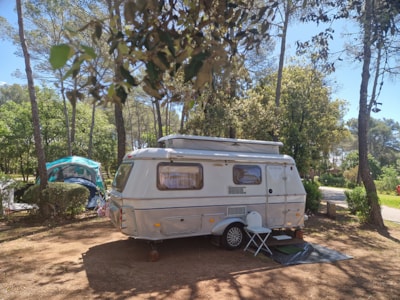 Pitch CARAVAN CLASSIQUE with electricity 6A — 3