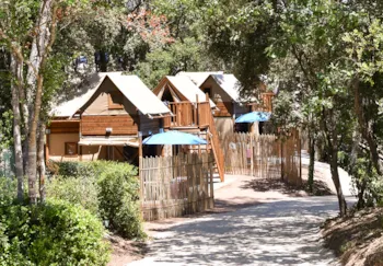 Mietunterkunft - Maxi Baumhaus - 30M² - Außergewöhnliche Unterkunft - CAMPING LA PIERRE VERTE